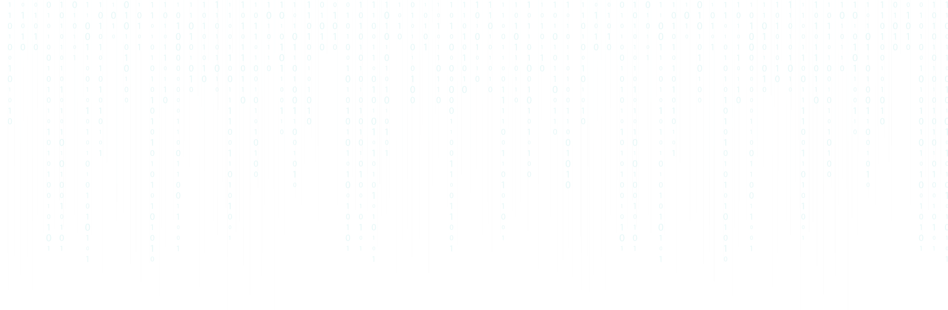 A  {Full Stack}  Web & Software developer
